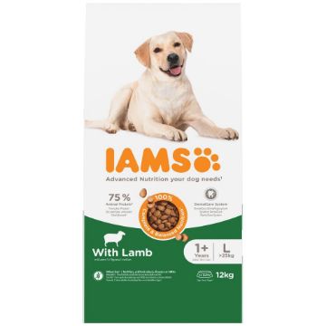 Picture of Iams Dog Large Breed Lamb 12kg