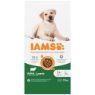 Picture of Iams Dog Large Breed Lamb 12kg