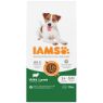 Picture of Iams Dog Small/Medium Lamb 12kg