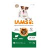 Picture of Iams Dog Small/Medium Lamb 2kg