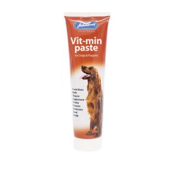 Picture of Johnson's Vit-min Paste for Dogs & Puppies 100g x 1