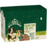 Picture of JWB Adult Dog Pouch Grain Free Turkey & Veg in Gravy 90g 12pk x 1