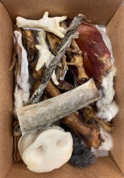 Picture of K9 Chew Co. Treat Feast Box 20pc x 1