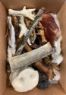 Picture of K9 Chew Co. Treat Feast Box 20pc x 1