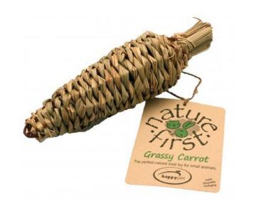 Picture of Nature First Grassy Carrot 7" x 1