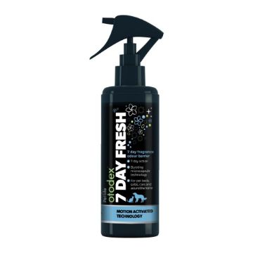 Picture of Otodex 7-Day Fresh 250ml x 1