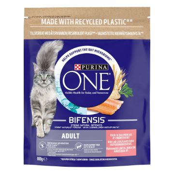 Picture of Purina One Adult Cat Salmon & Whole Grains 800g x 1