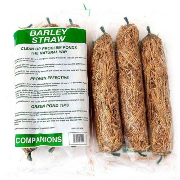 Picture of Pond Cleanse Pond Straw 3pk x 1