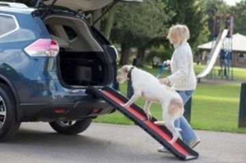 Picture of Henry Wag Lightweight Folding Dog Ramp x 1