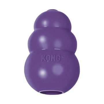 Picture of Senior KONG Large x 1