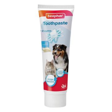 Picture of Beaphar Dog Toothpaste Liver Flavour 100g x 1
