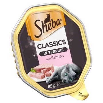 Picture of Sheba Foils Classics Salmon in Terrine 85g x 22