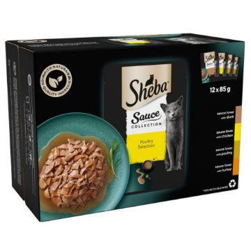 Picture of Sheba Pouch Sauce Collection Poultry in Gravy 85g 12-Pack x 4