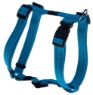 Picture of ROGZ Utility Turquoise Extra Large H-Harness 23½"-39½" x 1