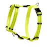 Picture of ROGZ Classic Harness Dayglo Medium 32-52cm x 1