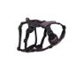 Picture of ROGZ AirTech Adventure Harness Nightsky Black Small x 1