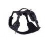 Picture of ROGZ Explore Harness XL Black x 1