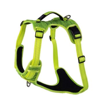 Picture of ROGZ Explore Harness XL Yellow x 1