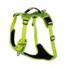 Picture of ROGZ Explore Harness XL Yellow x 1