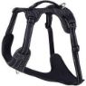 Picture of ROGZ Explore Harness Large Black x 1