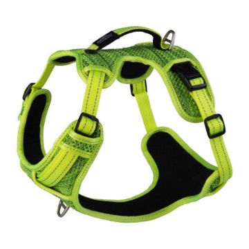 Picture of ROGZ Explore Harness Large Yellow x 1