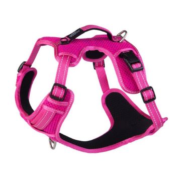 Picture of ROGZ Explore Harness Large Pink x 1