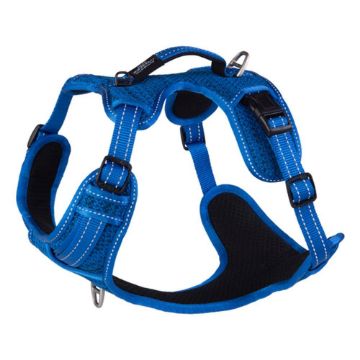 Picture of ROGZ Explore Harness Medium Blue x 1