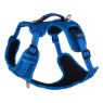 Picture of ROGZ Explore Harness Medium Blue x 1