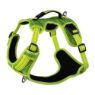 Picture of ROGZ Explore Harness Medium Yellow x 1
