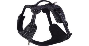 Picture of ROGZ Explore Harness Small Black x 1