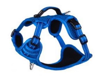 Picture of ROGZ Explore Harness Small Blue x 1