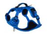 Picture of ROGZ Explore Harness Small Blue x 1