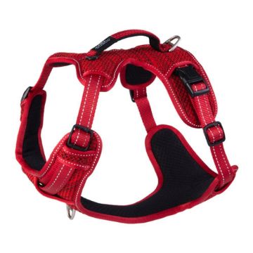 Picture of ROGZ Explore Harness Small Red x 1