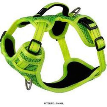 Picture of ROGZ Explore Harness Small Yellow x 1