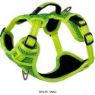 Picture of ROGZ Explore Harness Small Yellow x 1