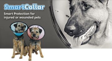 Picture of MDC Smart Collar Size 4 (Neck Size 35-52cm) x 1