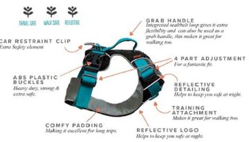 Picture of Sotnos Triple Safety Travel Harness Teal XS x 1