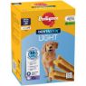 Picture of Dentastix LIGHT Large 21-Stick x 1