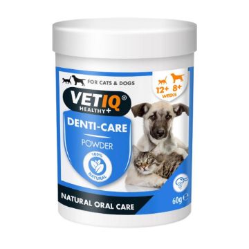 Picture of VETIQ Denti-Care Powder 60g x 1