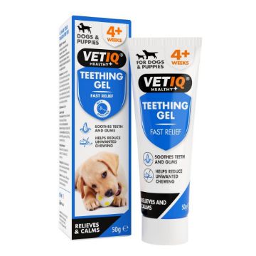 Picture of VETIQ Teething Gel for Dogs & Puppies 50g x 1