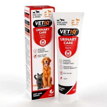 Picture of VETIQ Urinary Care Paste 100g x 1