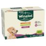 Picture of Winalot Classics Adult Dog Cans Mixed Meat Jelly (Chicken/Lamb & Turkey) 400g 6pk x 4