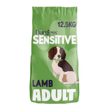 Picture of Burgess Sensitive Adult Dog Lamb 12.5kg
