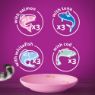 Picture of Whiskas Pouch Kitten Fish Favourites Jelly 85g 12-Pack x 4