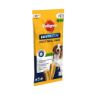 Picture of Pedigree Dentastix Medium 5 Stick x 14