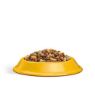 Picture of Whiskas 1+ Adult Cat Complete Chicken 1.9kg