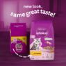 Picture of Whiskas Kitten & Junior Complete Chicken 1.9kg