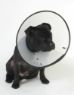 Picture of MDC Smart Collar Size 3 (Neck Size 29-38cm) x 1