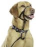 Picture of Halti Headcollar Black Size 3 x 1
