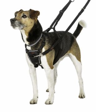 Picture of Halti No Pull Harness Small x 1